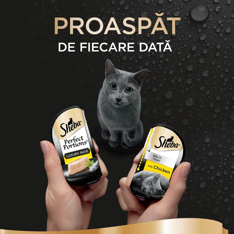 SHEBA Perfect Portions, Poulet, barquettes d'aliments humides pour chats (pâté), lot de 6, 37,5 g chacune