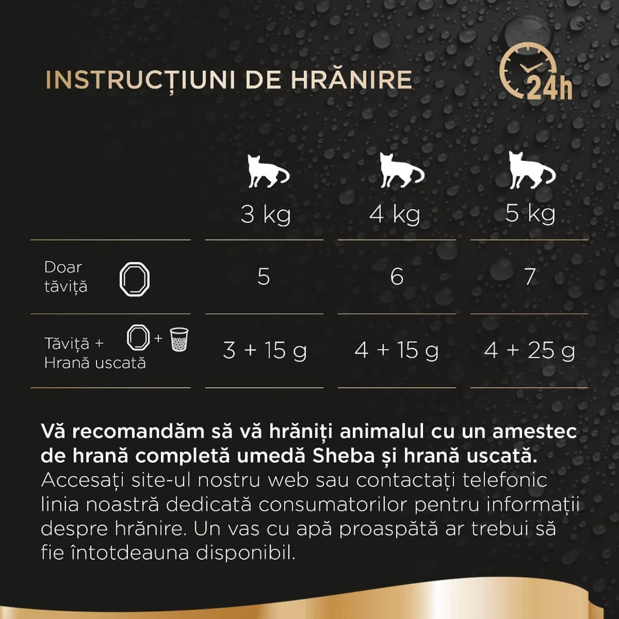 SHEBA Perfect Portions, Poulet, barquettes d'aliments humides pour chats (pâté), lot de 6, 37,5 g chacune