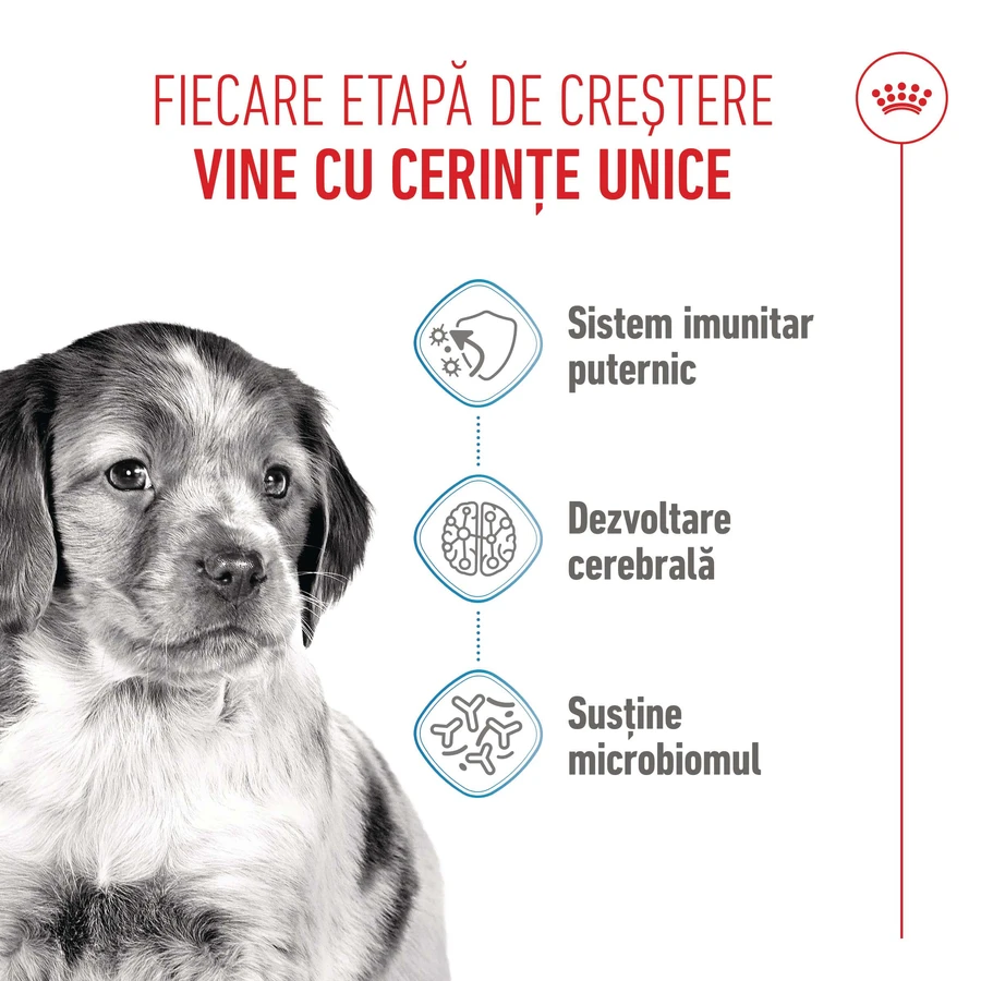 ROYAL CANIN Medium Puppy, Trockenfutter für junge Hunde, 3 kg