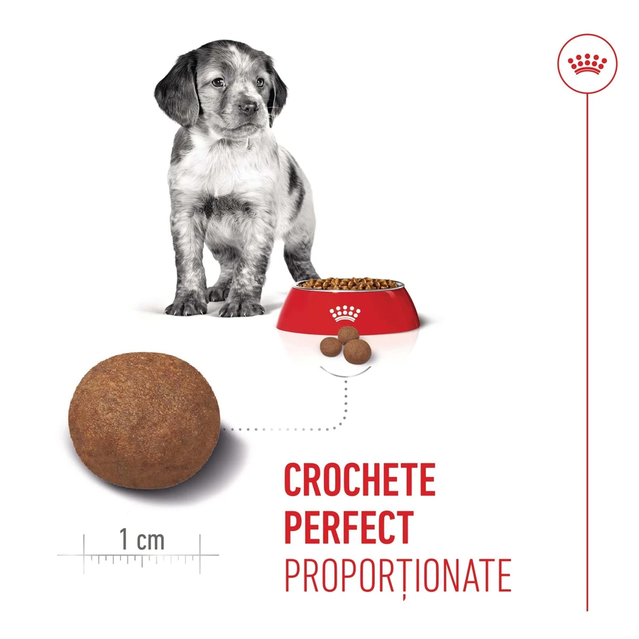 ROYAL CANIN Medium Puppy, Trockenfutter für junge Hunde, 3 kg