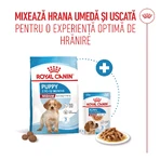 ROYAL CANIN Medium Puppy, Trockenfutter für junge Hunde, 3 kg