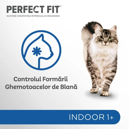 PERFECT FIT Cat Indoor 1+, Kip, natvoer voor katten in zakjes (in saus), 85 g