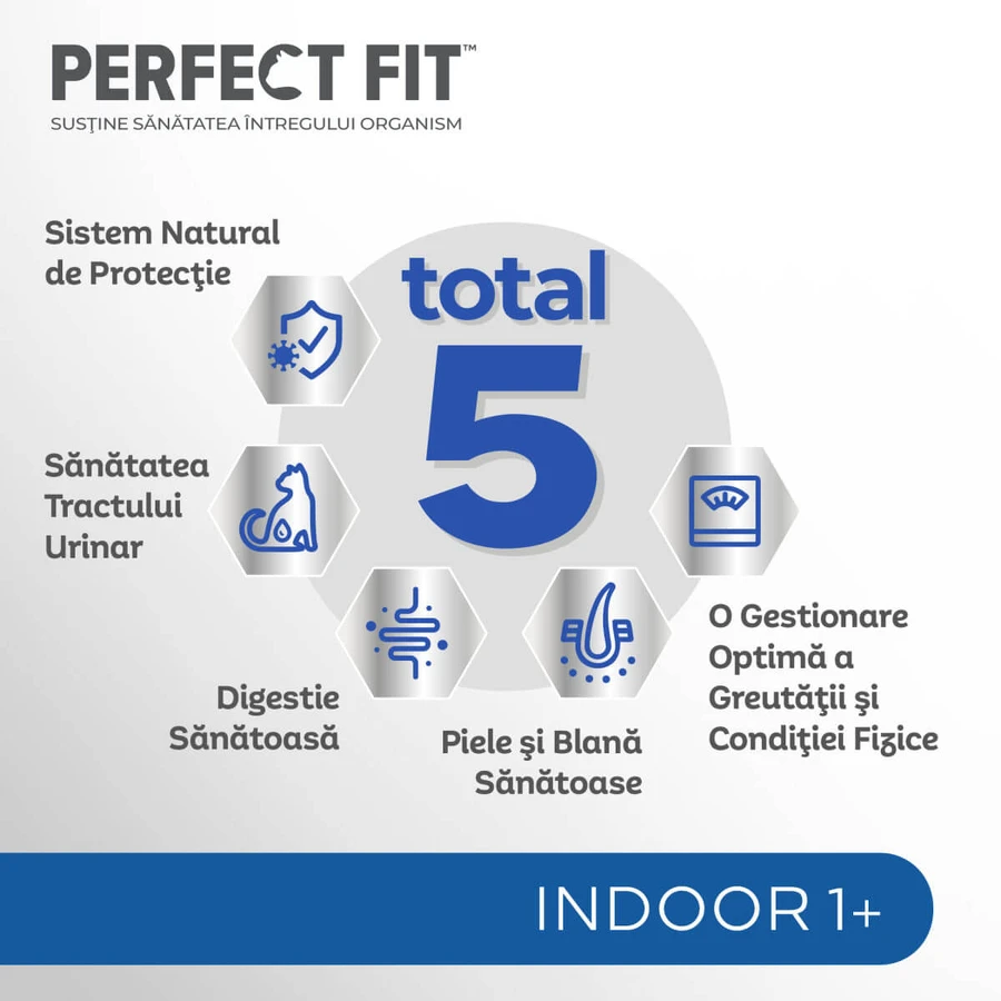 PERFECT FIT Cat Indoor 1+, Kip, natvoer voor katten in zakjes (in saus), 85 g