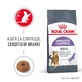 ROYAL CANIN Appetite Control Care Trockenfutter für erwachsene Katzen zur Appetitkontrolle, 2 kg