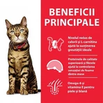 Hill's SP Feline Adult Light Chicken, 3 kg