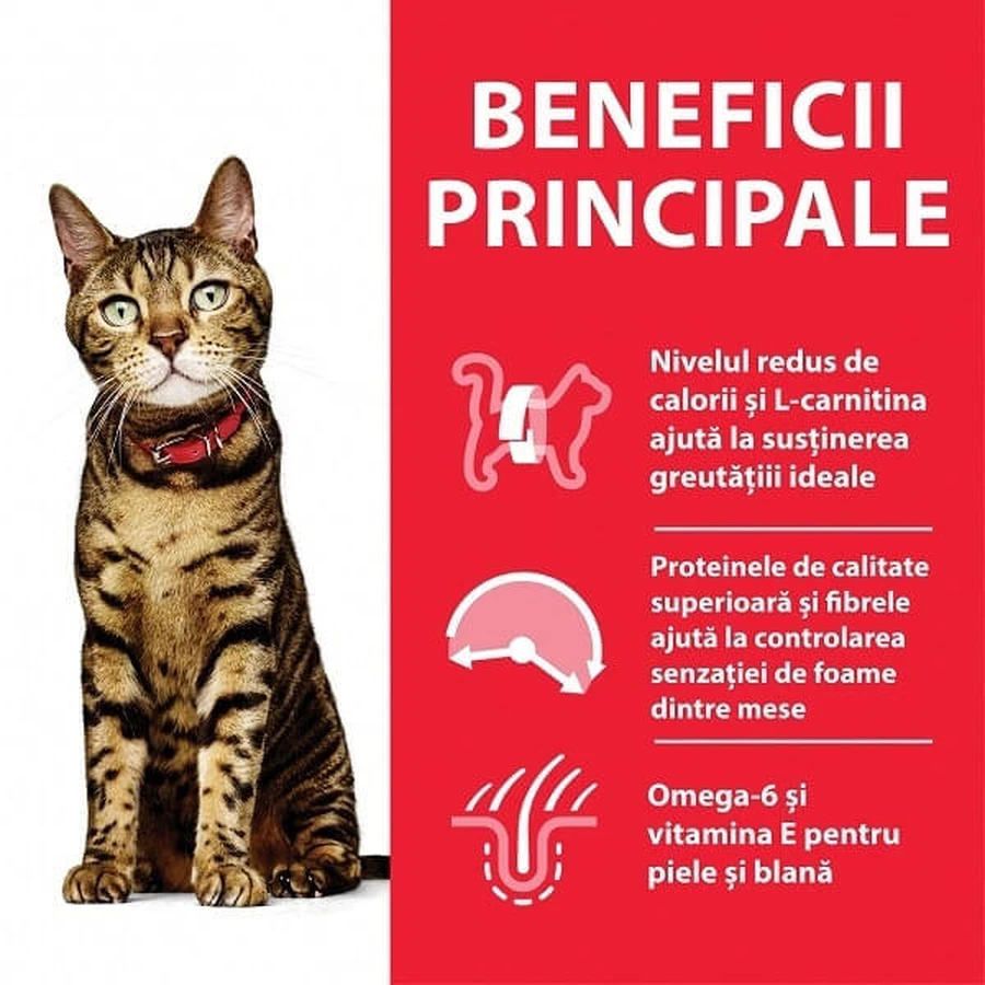 Hill's SP Feline Adult Light Chicken, 3 kg