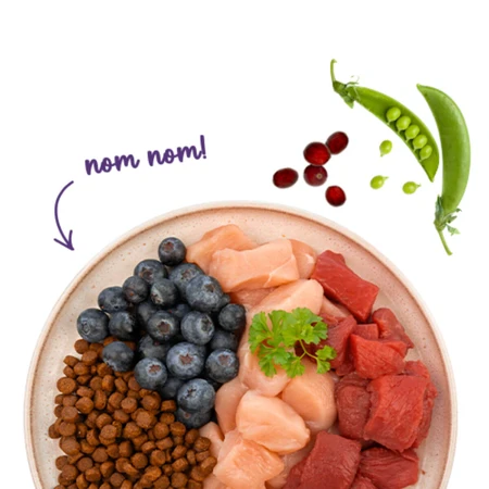 SANABELLE Adult, Ostrich and Blueberries, dry cat food, 400g