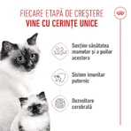 ROYAL CANIN Mother & BabyCat, pienso seco para gatas y gatitos, 2 kg