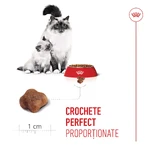 ROYAL CANIN Mother & BabyCat, pienso seco para gatas y gatitos, 2 kg