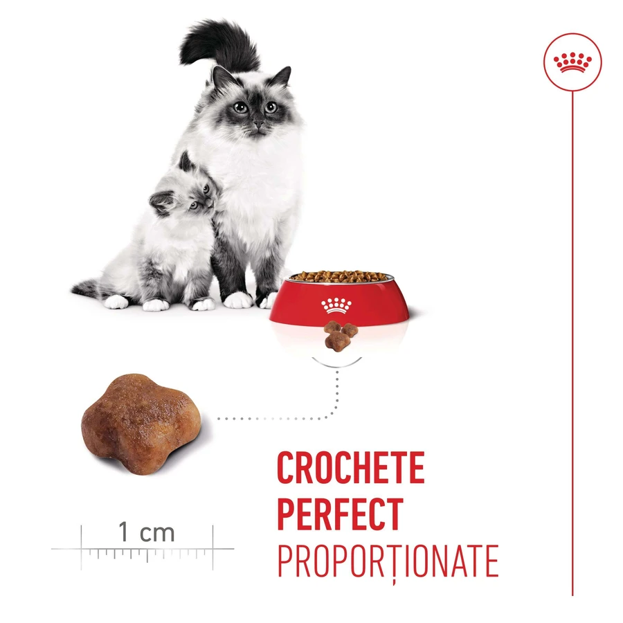 ROYAL CANIN Mother & BabyCat, pienso seco para gatas y gatitos, 2 kg