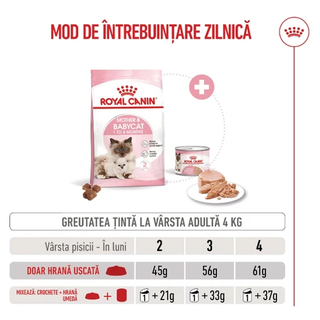 ROYAL CANIN Mother & BabyCat, pienso seco para gatas y gatitos, 2 kg