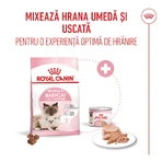 ROYAL CANIN Mother & BabyCat, pienso seco para gatas y gatitos, 2 kg