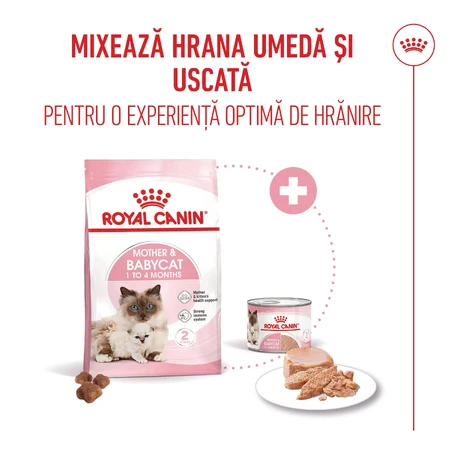 ROYAL CANIN Mother & BabyCat, pienso seco para gatas y gatitos, 2 kg