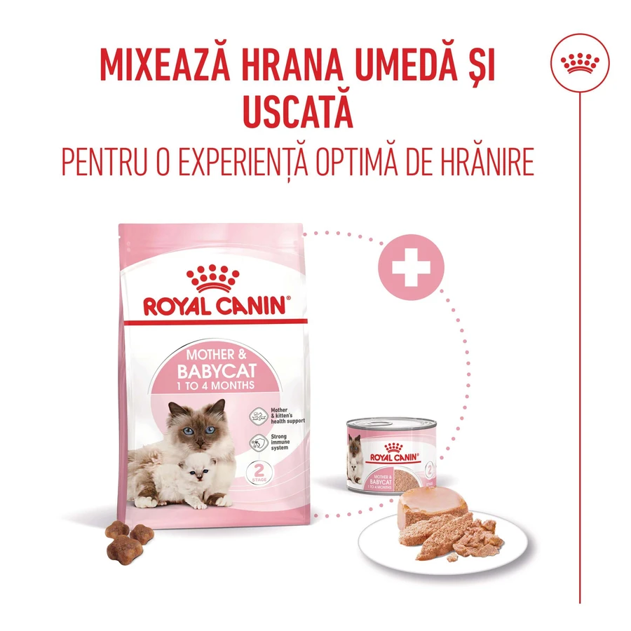 ROYAL CANIN Mother & BabyCat, pienso seco para gatas y gatitos, 2 kg