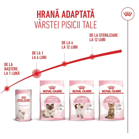 ROYAL CANIN Mother & BabyCat, pienso seco para gatas y gatitos, 2 kg