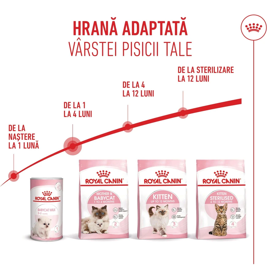 ROYAL CANIN Mother & BabyCat, pienso seco para gatas y gatitos, 2 kg