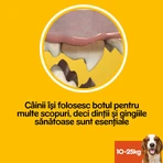 PEDIGREE DentaStix, M, Hondenkoekjes Megapack, 7 stuks x 8, 1,44 kg
