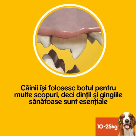 PEDIGREE DentaStix, M, Hondenkoekjes Megapack, 7 stuks x 8, 1,44 kg
