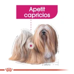 ROYAL CANIN Mini Exigent, droogvoer voor honden, voor kieskeurige eters, 1 kg