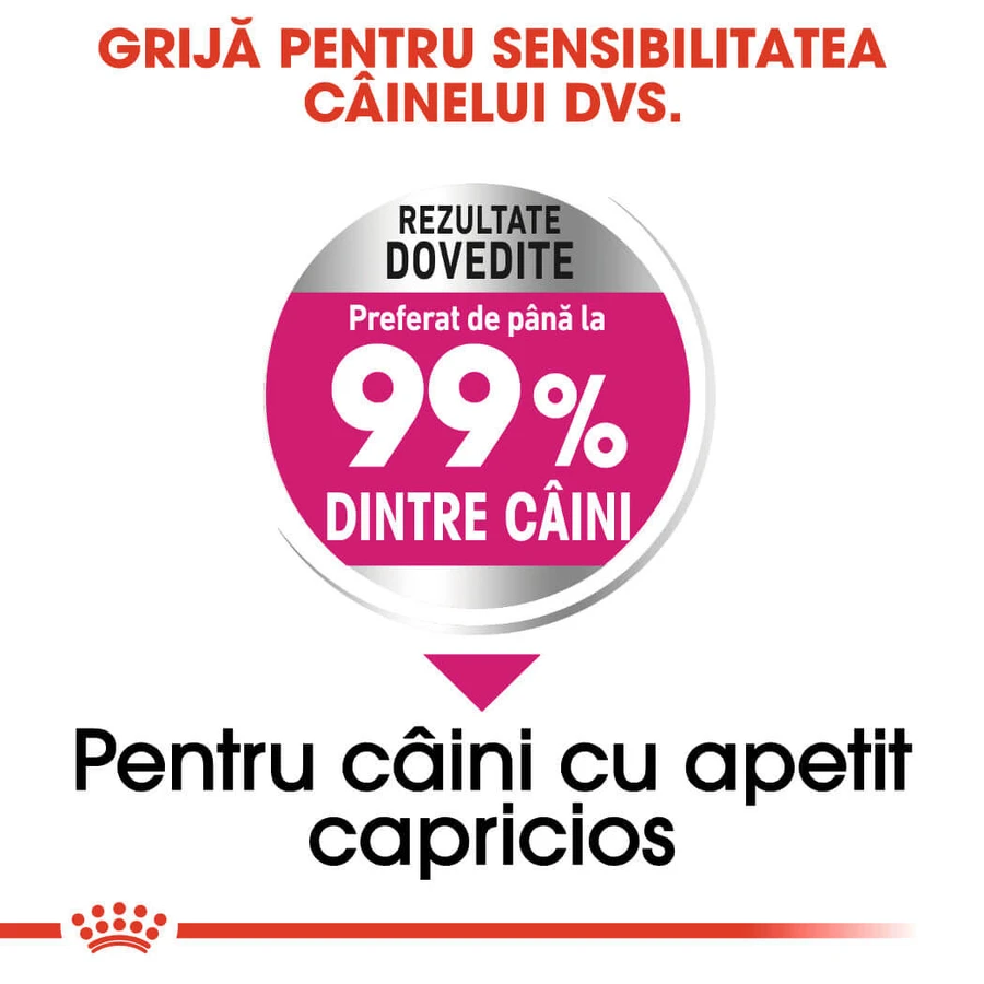 ROYAL CANIN Mini Exigent, droogvoer voor honden, voor kieskeurige eters, 1 kg