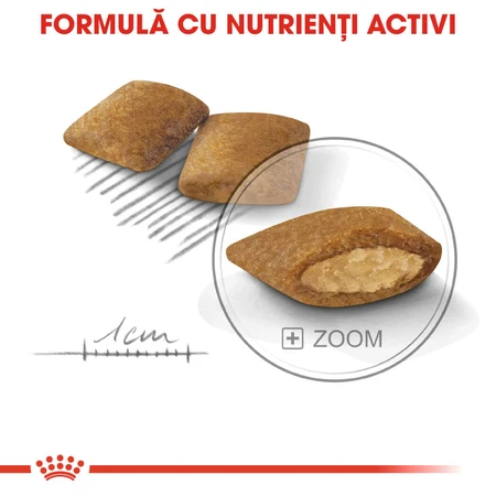 ROYAL CANIN Mini Exigent, droogvoer voor honden, voor kieskeurige eters, 1 kg