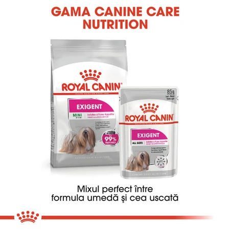 ROYAL CANIN Mini Exigent, droogvoer voor honden, voor kieskeurige eters, 1 kg
