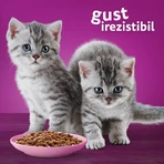 WHISKAS Junior Classic Selections, lam, rundvlees, kip en gevogelte, natvoer voor katten in zakjes (in saus), multipack, 85 g x 12