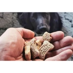 TRIBAL Rewards, XS–XL, Kokosnuss und Banane, praktischer Beutel für Hundeleckerlis, für übergewichtige Hunde, 125 g