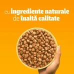 PEDIGREE Junior, M-XL, Aves y verduras, pienso seco para perros jóvenes, 500 g