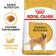 ROYAL CANIN Golden Retriever Adult, droogvoer voor honden, 3 kg