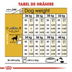 ROYAL CANIN Golden Retriever Adult, droogvoer voor honden, 3 kg