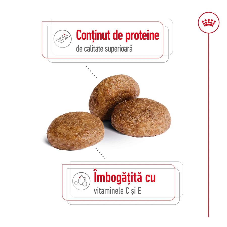 ROYAL CANIN Medium Adult 7+, dry food for senior dogs, 4 kg