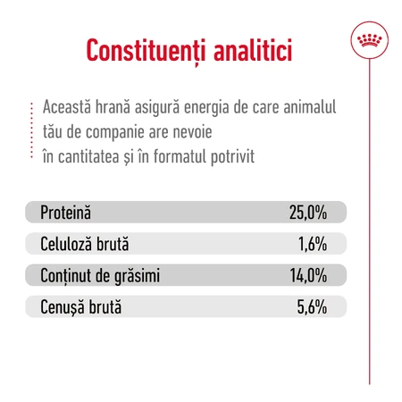 ROYAL CANIN Medium Adult 7+, dry food for senior dogs, 4 kg