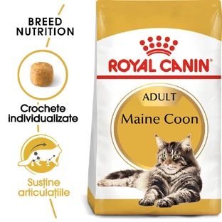 ROYAL CANIN Maine Coon Adult, dry cat food, 4 kg