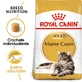 ROYAL CANIN Maine Coon Adult, pienso seco para gatos, 4 kg