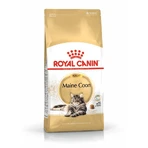 ROYAL CANIN Maine Coon Adult, dry cat food, 4 kg