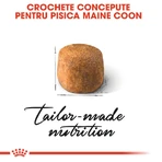 ROYAL CANIN Maine Coon Adult, dry cat food, 4 kg