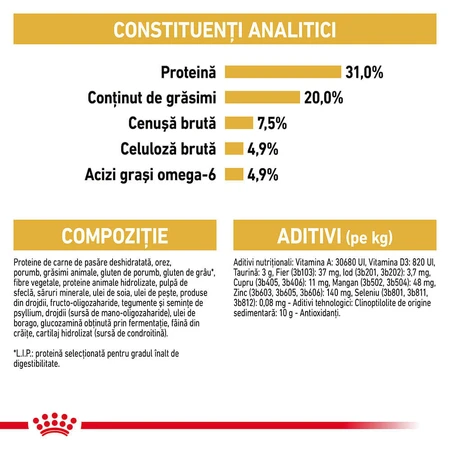 ROYAL CANIN Maine Coon Adult, dry cat food, 4 kg
