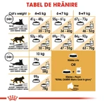 ROYAL CANIN Maine Coon Adult, dry cat food, 4 kg