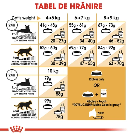 ROYAL CANIN Maine Coon Adult, dry cat food, 4 kg