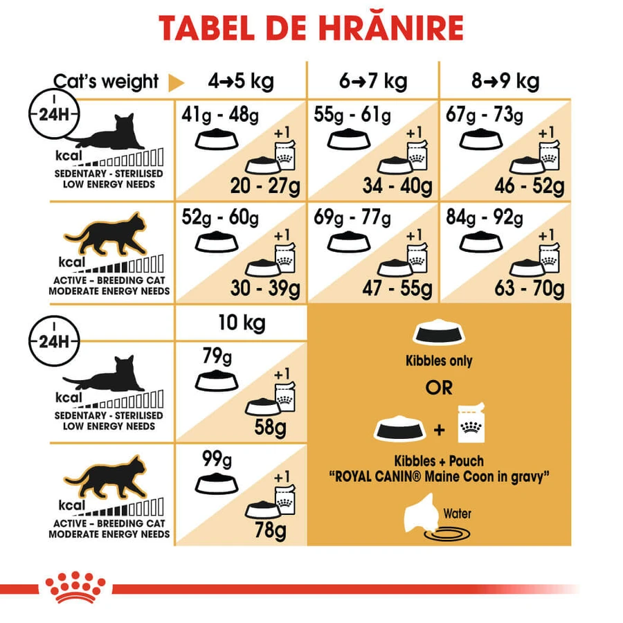 ROYAL CANIN Maine Coon Adult, dry cat food, 4 kg