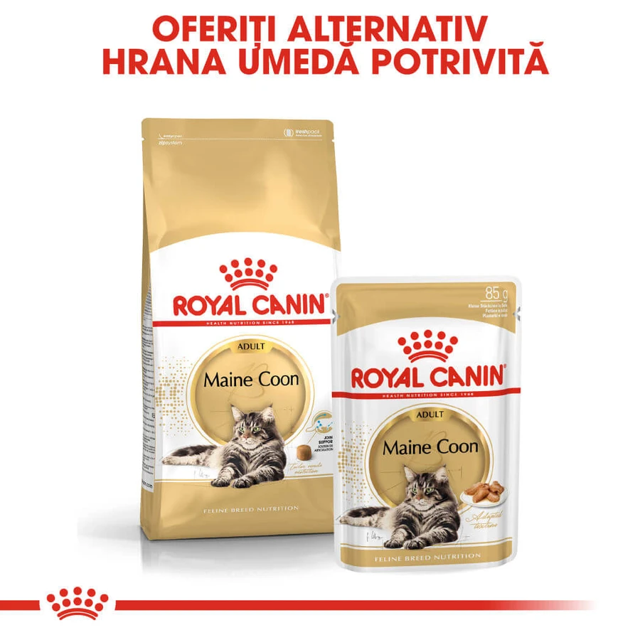 ROYAL CANIN Maine Coon Adult, dry cat food, 4 kg