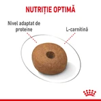 ROYAL CANIN Medium Light Weight Care Adult, dry dog food, for weight management, 3 kg