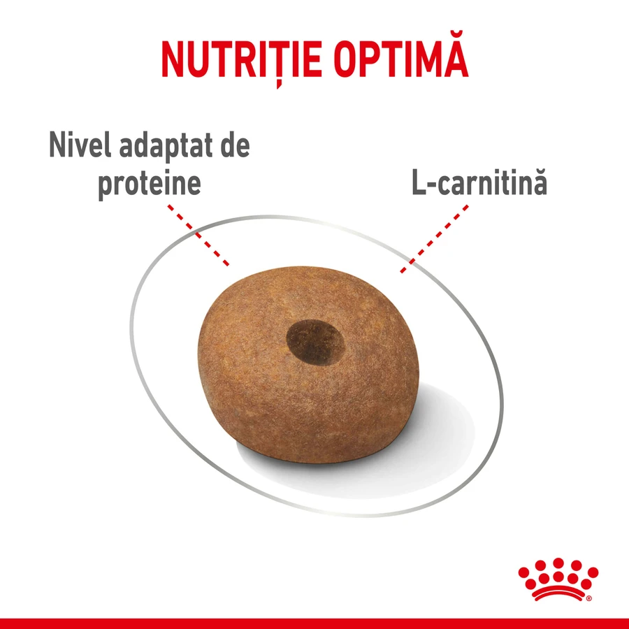 ROYAL CANIN Medium Light Weight Care Adult, dry dog food, for weight management, 3 kg