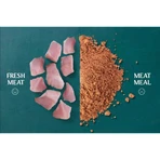 TRIBAL Fresh Pressed, XS–XL, Lachs, getreidefreies Trockenfutter für Hunde, kaltgepresst, 2,5 kg