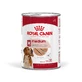ROYAL CANIN Comida húmeda para perros adultos de tamaño mediano (paté), 410 g