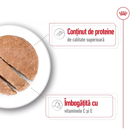 ROYAL CANIN Comida húmeda para perros adultos de tamaño mediano (paté), 410 g