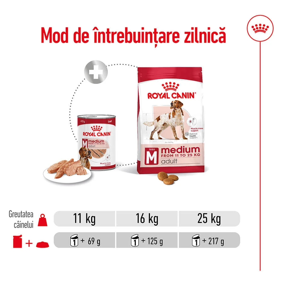 ROYAL CANIN Comida húmeda para perros adultos de tamaño mediano (paté), 410 g