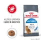 ROYAL CANIN Light Weight Care: pienso seco para gatos adultos para el control del peso, 1,5 kg