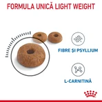 ROYAL CANIN Light Weight Care droogvoer voor volwassen katten ter ondersteuning van het gewichtsbeheer, 1,5 kg